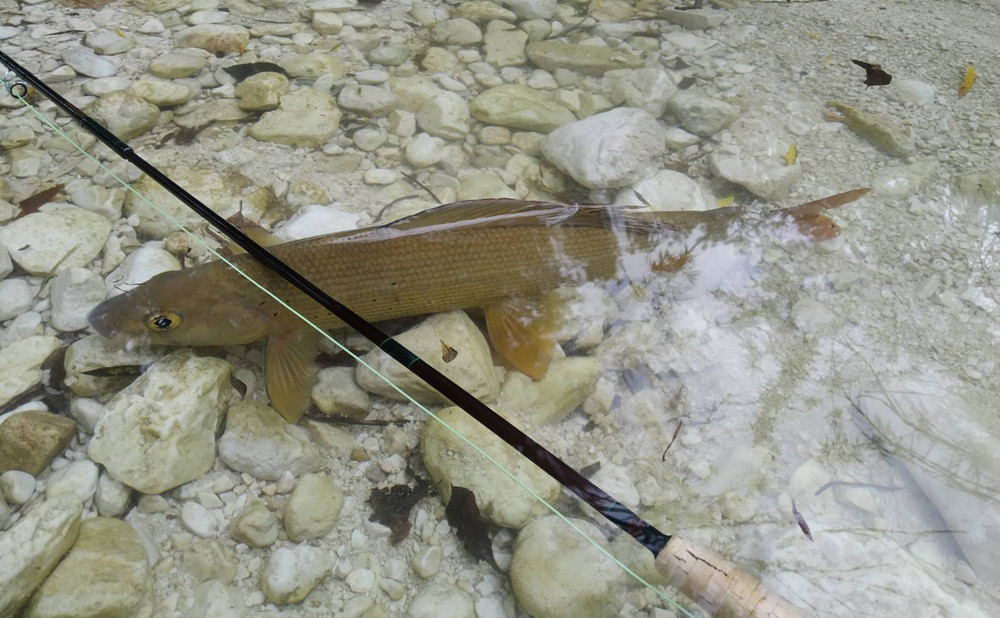 sava-bohinjka-institut